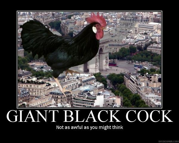 Giant Black Cock May 16 2010 Leave a Comment Posted in funny