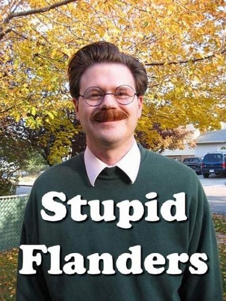 stupid-flanders.jpg?w=497